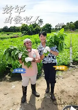 街角食堂 美食综艺免费在线观看